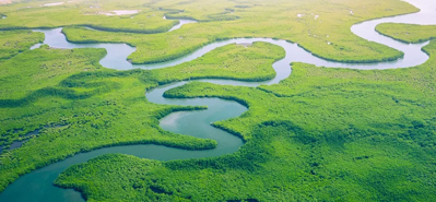 বিপ্লবী কৃষি সেচ: পিভিসি পাইপ এবং ফিটিং এর ভূমিকা
